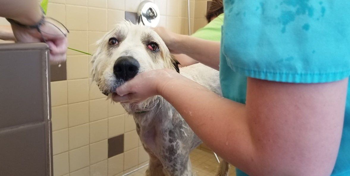 shiloh spa day 3 .jpg